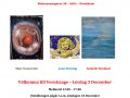 Julsalong 2011